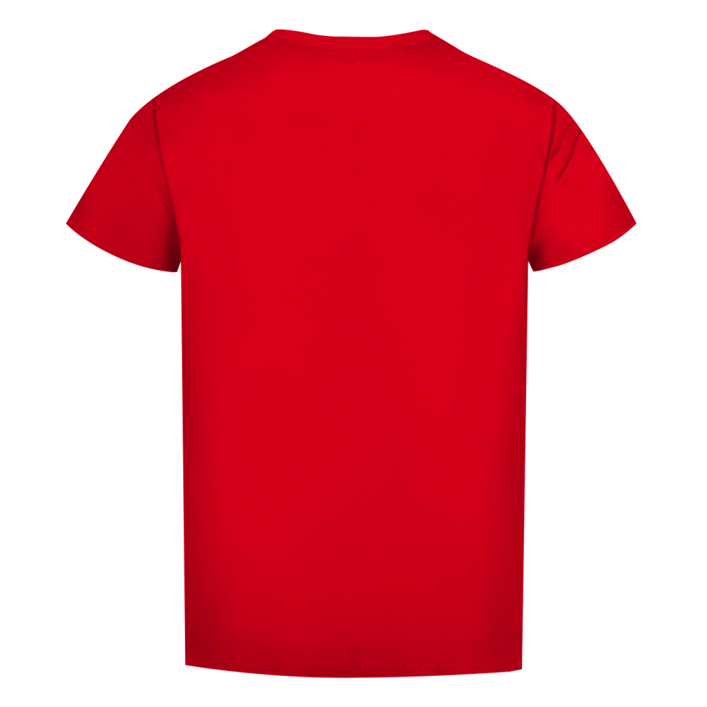 Men's T-shirt "Switzerland"